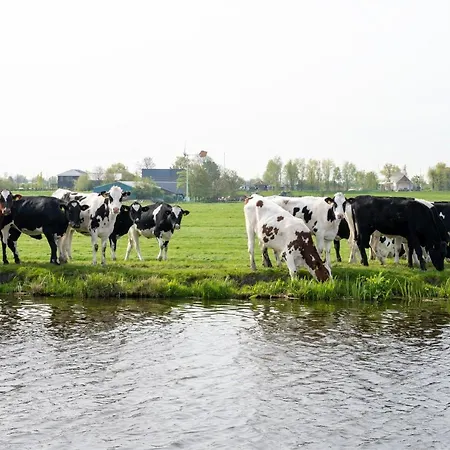 4 To 6 Persons Waterfront Βίλα Roelofarendsveen