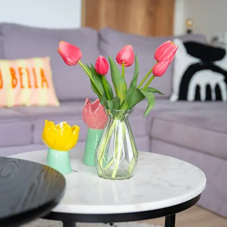 4 To 6 Persons Tulpenacker Waterfront