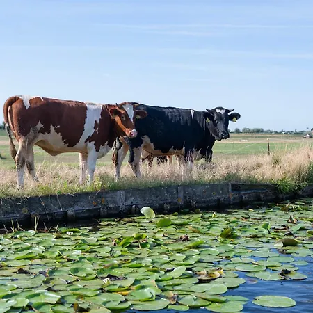 4 To 6 Persons Tulpenacker Waterfront