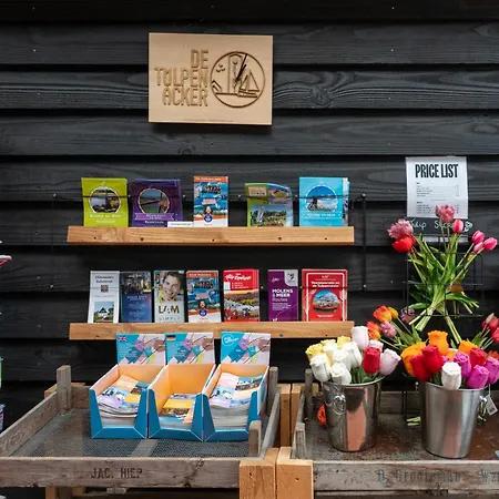4 To 6 Persons Tulpenacker Waterfront * Roelofarendsveen