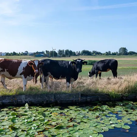 4 To 6 Persons Tulpenacker Waterfront Roelofarendsveen