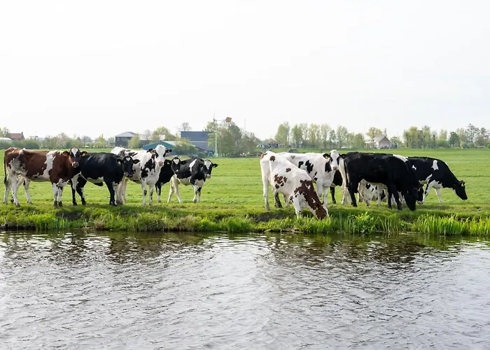 4 To 6 Persons Tulpenacker Waterfront Villa Roelofarendsveen