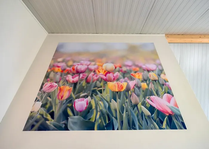 4 To 6 Persons Tulpenacker Waterfront Villa *